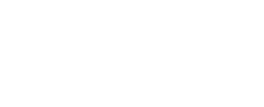 CarDesk Professional